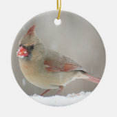 NordKardinal Keramikornament (Vorne)