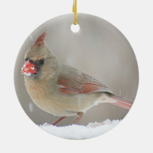 NordKardinal Keramikornament