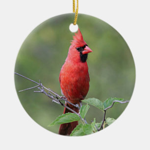 NordKardinal Keramikornament