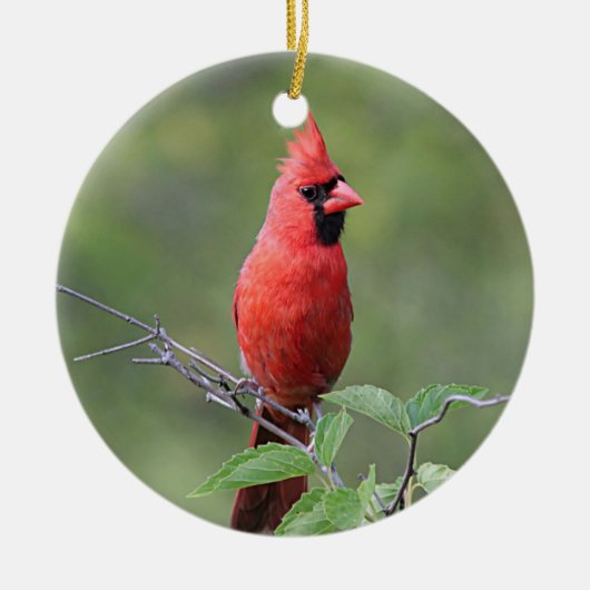 NordKardinal Keramikornament (Vorne)