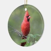NordKardinal Keramikornament (Links)