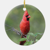 NordKardinal Keramikornament (Hinten)