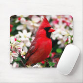 NordKardinal Mousepad (Mit Mouse)