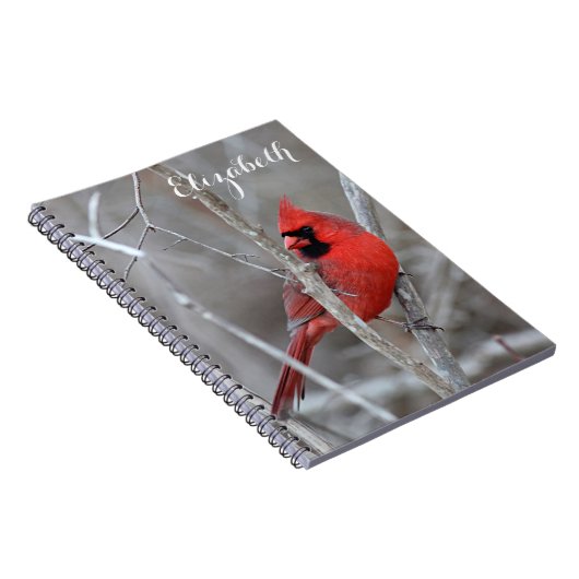 NordKardinal Notizblock (Rechte Seite)