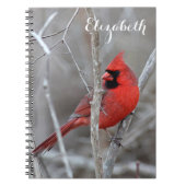 NordKardinal Notizblock (Vorderseite)