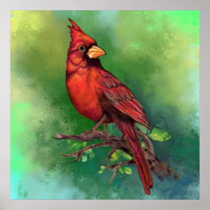 Nordkardinal-Vogelposter - Malerei Poster