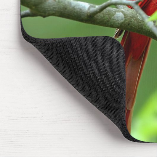 NordKardinäle Mousepad (Ecke)