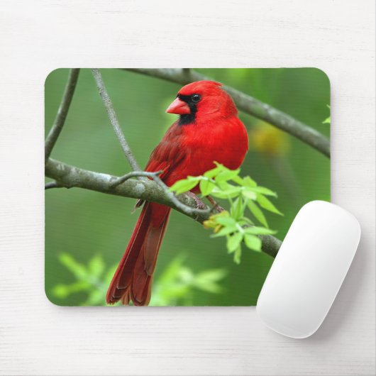 NordKardinäle Mousepad (Mit Mouse)