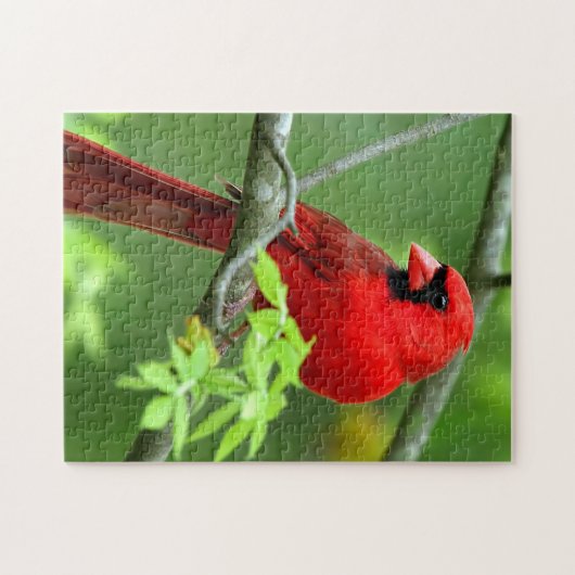 NordKardinäle Puzzle (Horizontal)