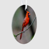 NordKardinals-Acryl-Verzierung Ornament (Vorderseite)