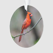 NordKardinals-Acryl-Verzierung Ornament (Vorderseite)