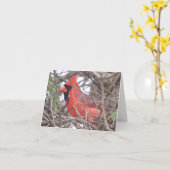 NordKardinals-Anmerkungs-Karte Karte (Gelbe Blume)