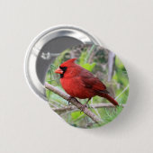 NordKardinals-Foto Button (Vorne & Hinten)