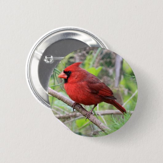 NordKardinals-Foto Button (Vorne & Hinten)