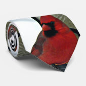 NordKardinals-Foto Krawatte (Gerollt)