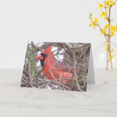 NordKardinals-Gruß-Karte Karte (Gelbe Blume)