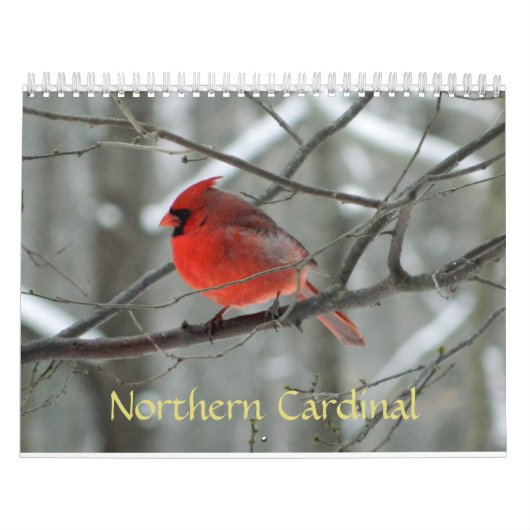 NordKardinals-Kalender Kalender (Titelbild)