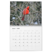 NordKardinals-Kalender Kalender (Mär 2027)