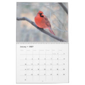 NordKardinals-Kalender Kalender (Jan 2027)
