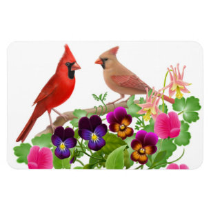 NordKardinals-Vogel-Prämien-Magnet Magnet