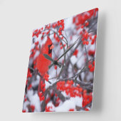 NordKardinalsmann, Winter, IL Quadratische Wanduhr (Winkel)