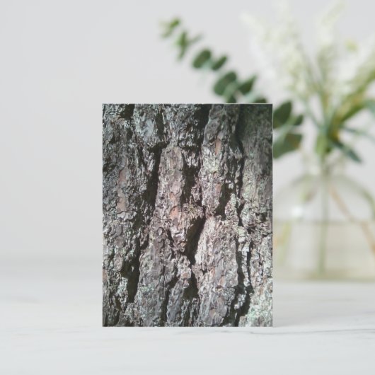 Nordkiefernbaumrinde Postkarte (Stehend Vorderseite)