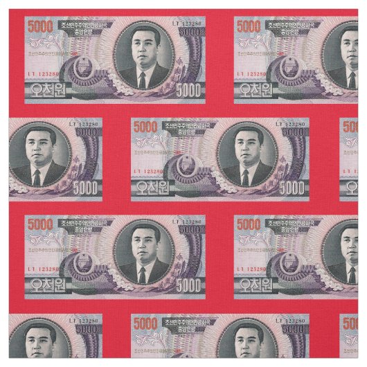 Nordkorea-Banknoten-Gewebe Stoff (Muster)