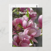 Nordkorea Magnolia Postkarte (Vorne/Hinten)