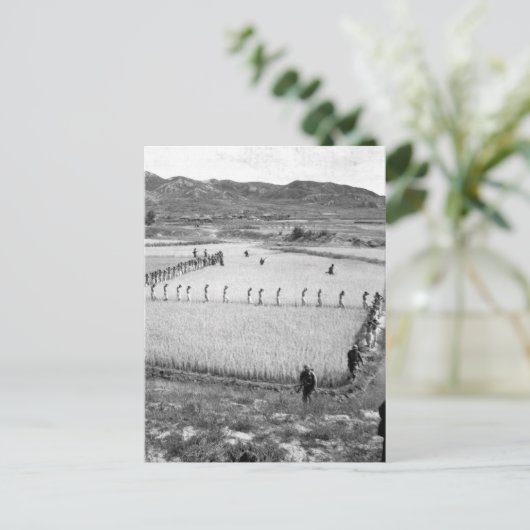 Nordkoreanische Gefangene - Bild des Krieges Postkarte (Stehend Vorderseite)