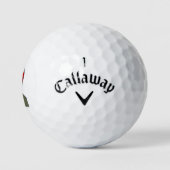 Nordkoreanische Rakete Golfball (Logo)
