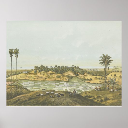 Nordküste bei Semarang Poster (Vorne)