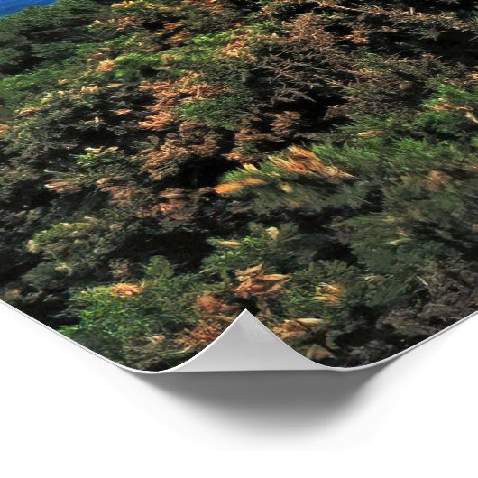 Nordküste Schottlands Poster (Ecke)