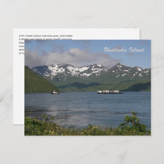 Nordlandbart in der Bucht von Unalaska Postkarte (Vorne/Hinten)