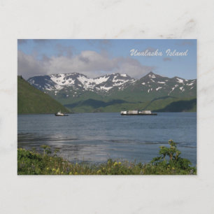 Nordlandbart in der Bucht von Unalaska Postkarte