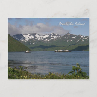 Nordlandbart in der Bucht von Unalaska Postkarte