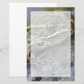 Nordleopardfrosch, See-through Island, Briefpapier (Vorne/Hinten)