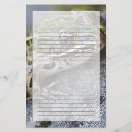 Nordleopardfrosch, See-through Island, Briefpapier (Vorderseite)