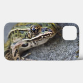 Nordleopardfrosch, See-through Island, Case-Mate iPhone Hülle (Rückseite (Horizontal))