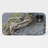 Nordleopardfrosch, See-through Island, Case-Mate iPhone Hülle (Rückseite (Horizontal))