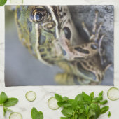 Nordleopardfrosch, See-through Island, Geschirrtuch (Gefaltet)