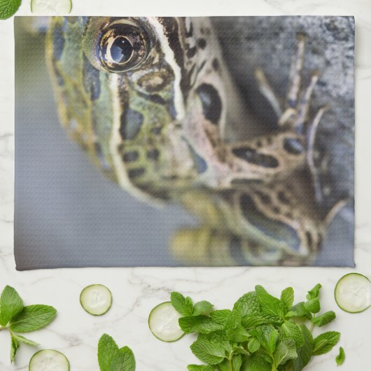 Nordleopardfrosch, See-through Island, Geschirrtuch (Gefaltet)