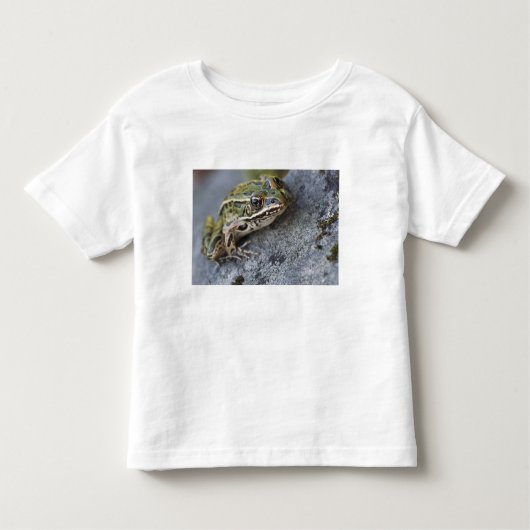 Nordleopardfrosch, See-through Island, Kleinkind T-shirt (Vorderseite)