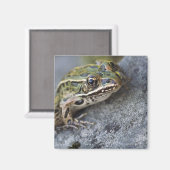 Nordleopardfrosch, See-through Island, Magnet (Vorderseite/Rückseite)