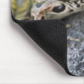 Nordleopardfrosch, See-through Island, Mousepad (Ecke)