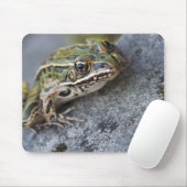 Nordleopardfrosch, See-through Island, Mousepad (Mit Mouse)