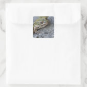 Nordleopardfrosch, See-through Island, Quadratischer Aufkleber (Tasche)