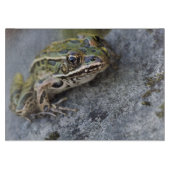 Nordleopardfrosch, See-through Island, Schneidebrett (Vorderseite)