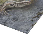 Nordleopardfrosch, See-through Island, Schneidebrett (Ecke)
