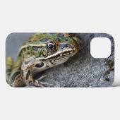 Nordleopardfrosch, Sehen-durch Insel, Case-Mate iPhone Hülle (Rückseite (Horizontal))