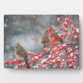 Nördliche Kardinäle | Marion, Illinois Fotoplatte (Vorderseite)